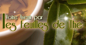 les feuilles de the